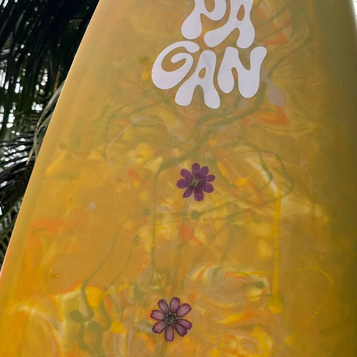 Pressed flowers set under the glass