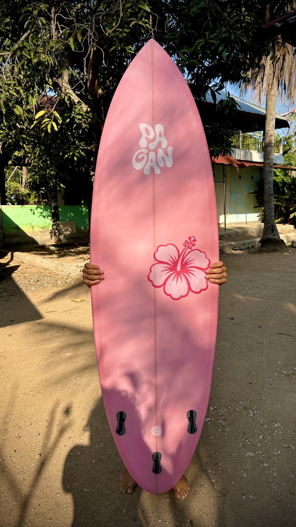 Pink hibiscus board under the palms